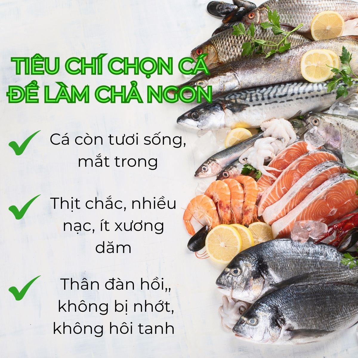 cá nào thường được dùng để làm chả